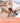 Microneedle Roller Wholesale Beauty Equipment