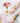 The Flower Crystal Jelly Magic Lipgloss Family